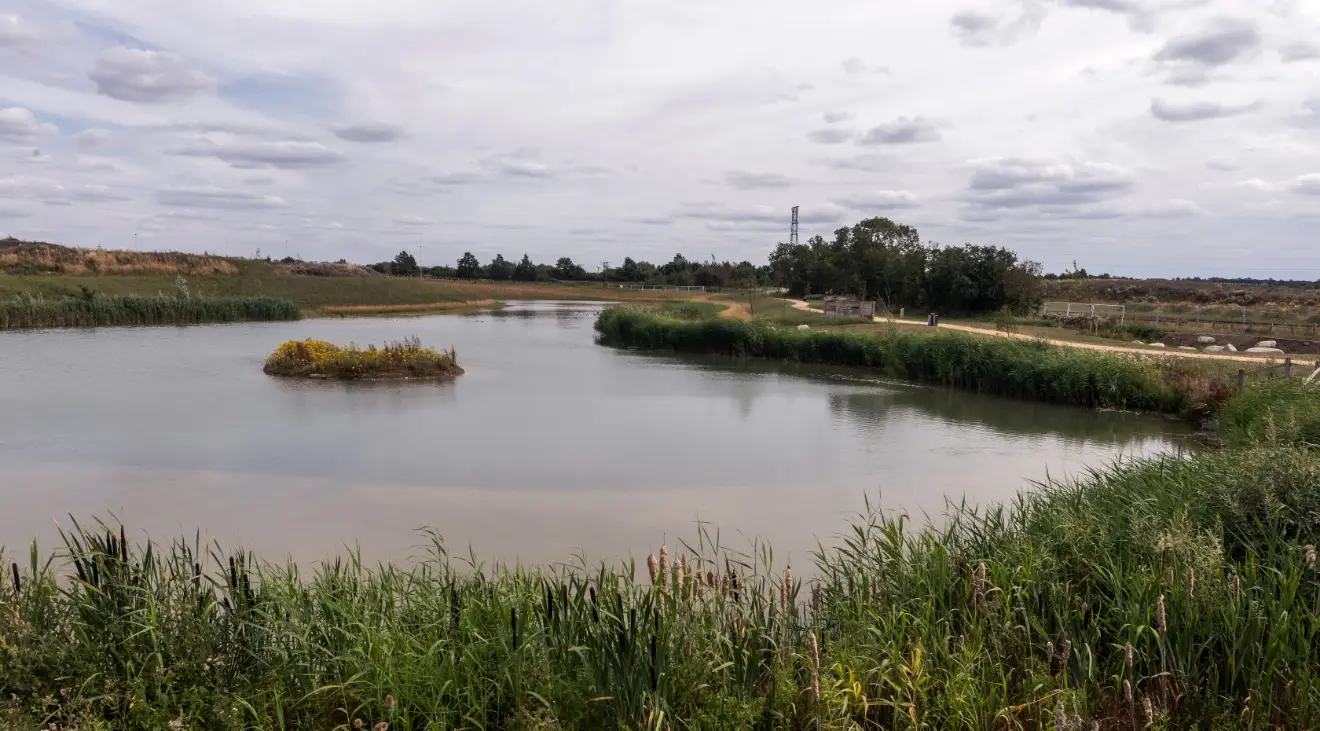 Ponds at Wintringham